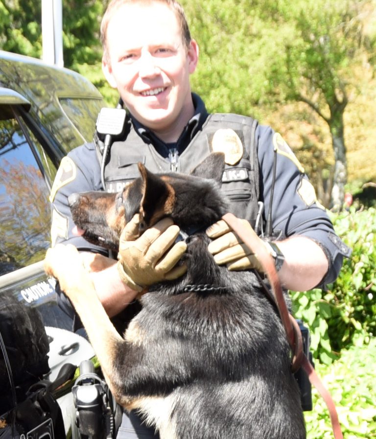 To protect, serve, and play: Lynnwood police dogs are on duty ...