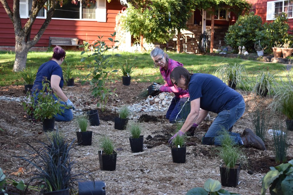 Rain Garden Planting Party