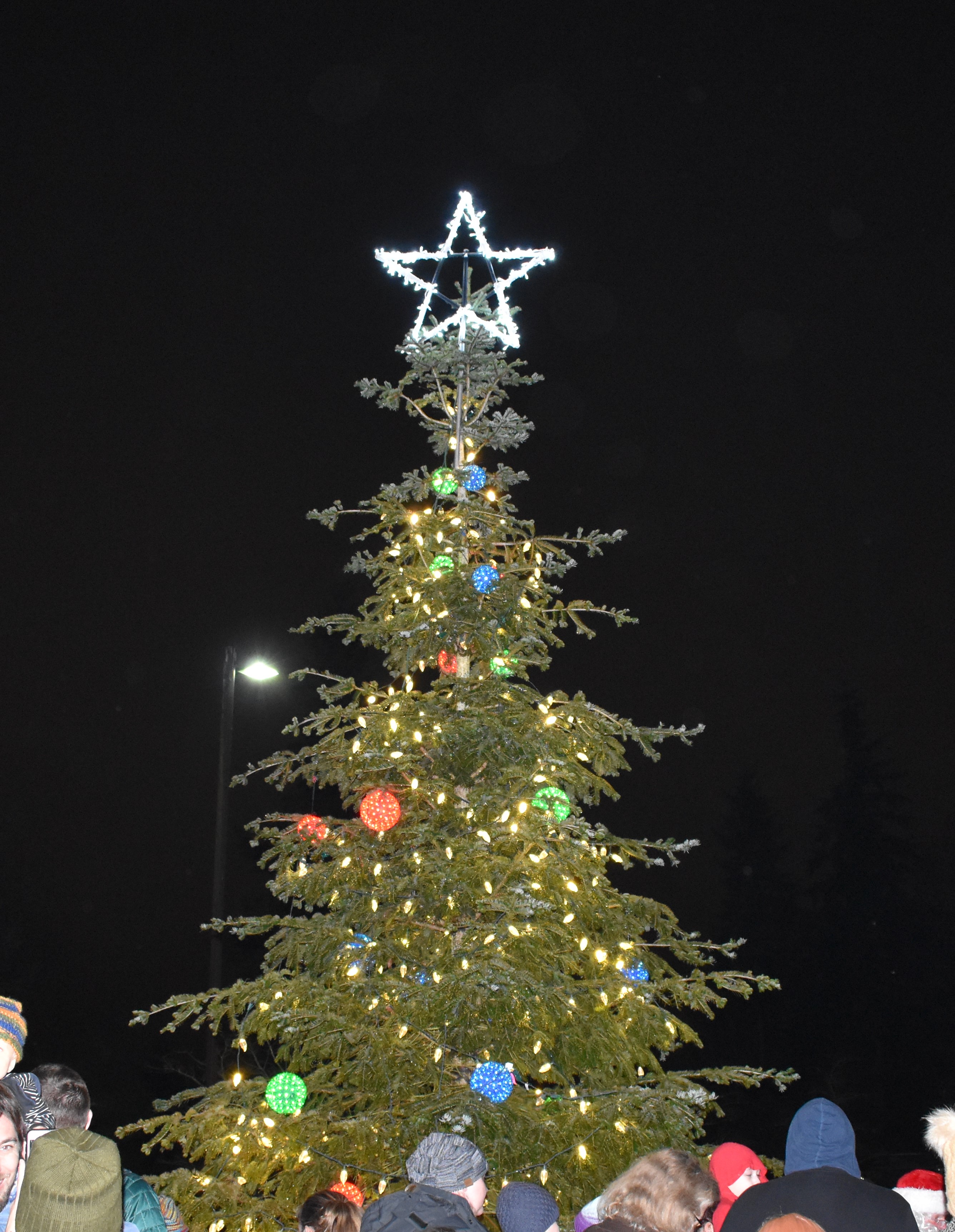 Silver Creek Family Church Tree Lighting Lynnwood Times