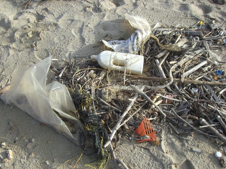 plastic pollution washington