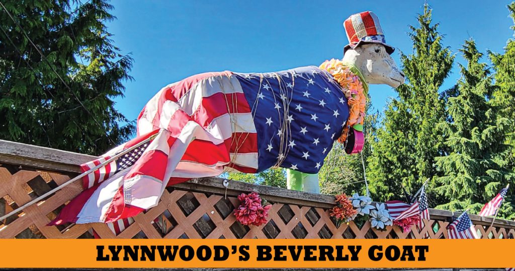 Lynnwood Beverly Goat