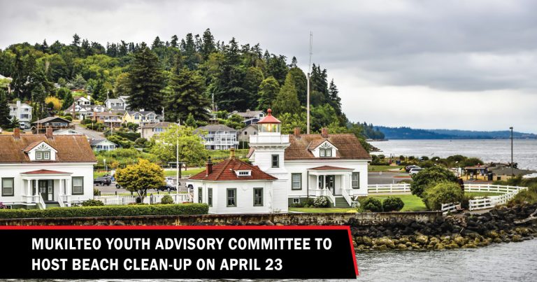 mukilteo beach clean-up