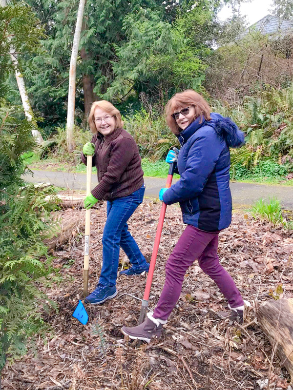 lynnwood-plants-18-native-trees-in-honor-of-arbor-day-lynnwood-times