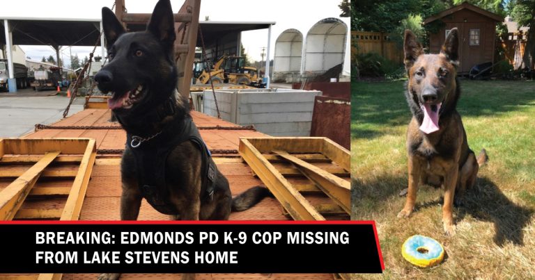 k-9 cop missing