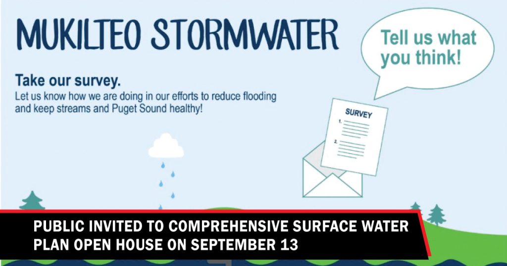 Comprehensive Surface Water Plan