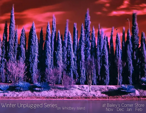 Winter Unplugged music series comes to Whidbey Island