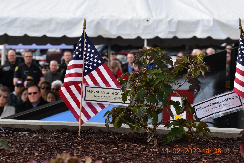 Memorial Day concert honors different Veterans, Gold Star families - VA News