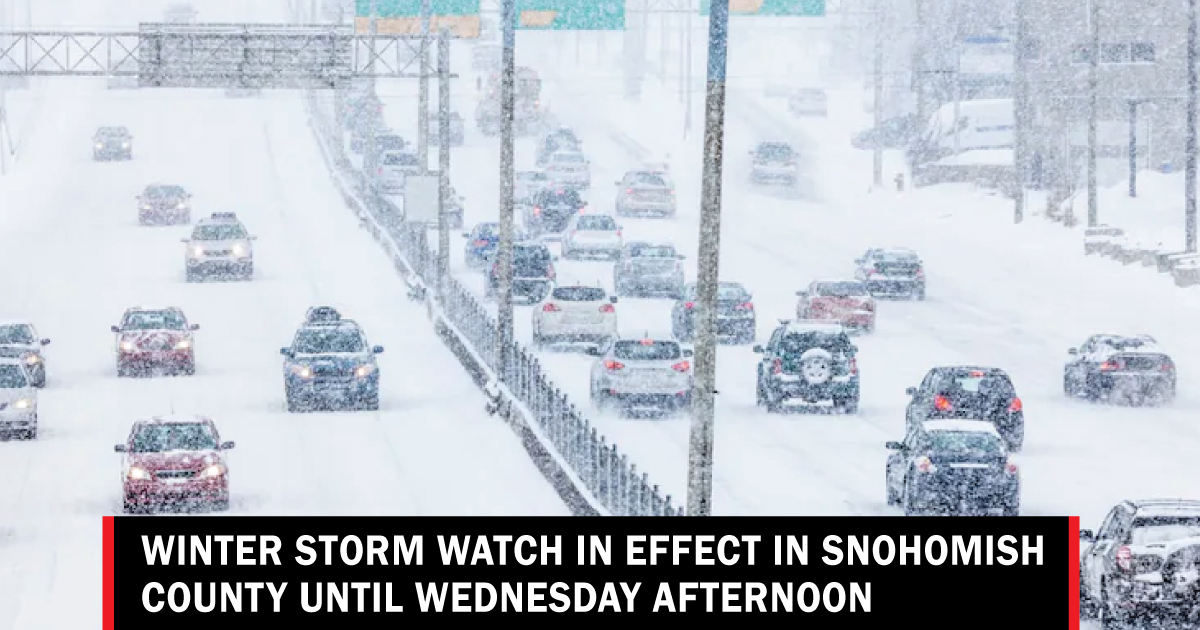 Winter Storm Watch In Effect Until Wednesday Afternoon - Lynnwood Times