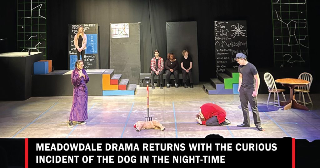 Curious Incident of the Dog