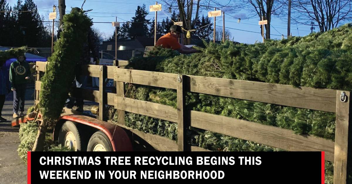 Trash Collection: Christmas Trees, Extra Trash Bags & 2023