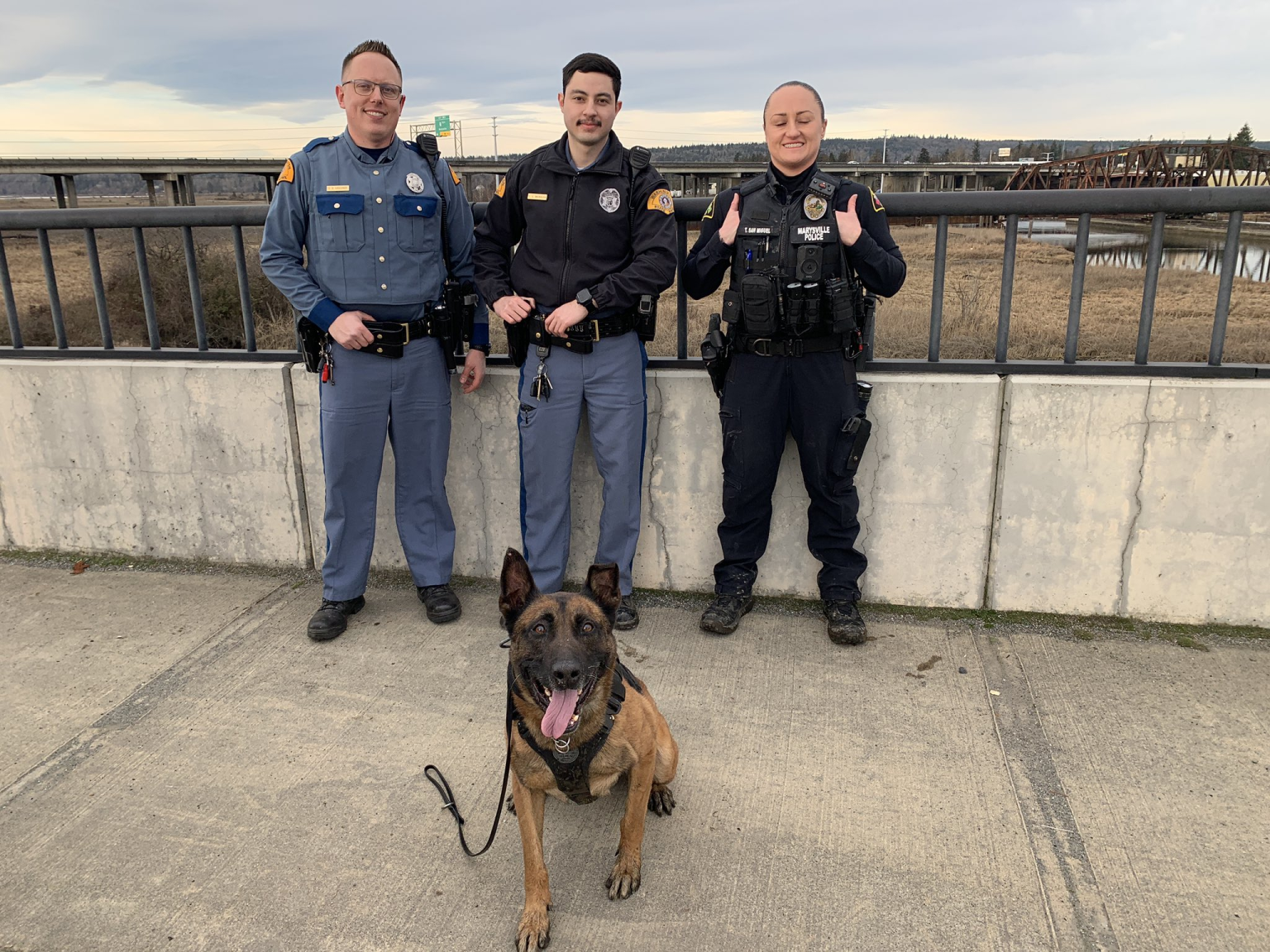 Suspected car thief apprehended after chase by K-9 Steele and law ...
