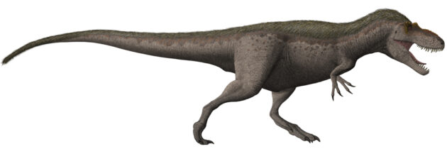 Suciasaurus rex