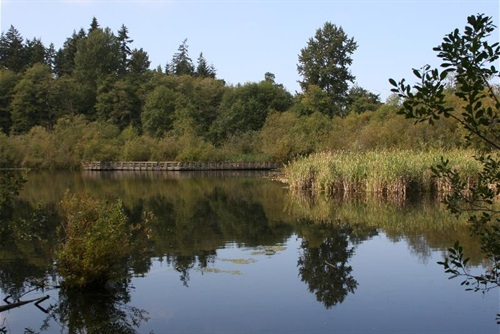 Scriber Lake Park Receives $2 Million Grant For Improvements - Lynnwood ...