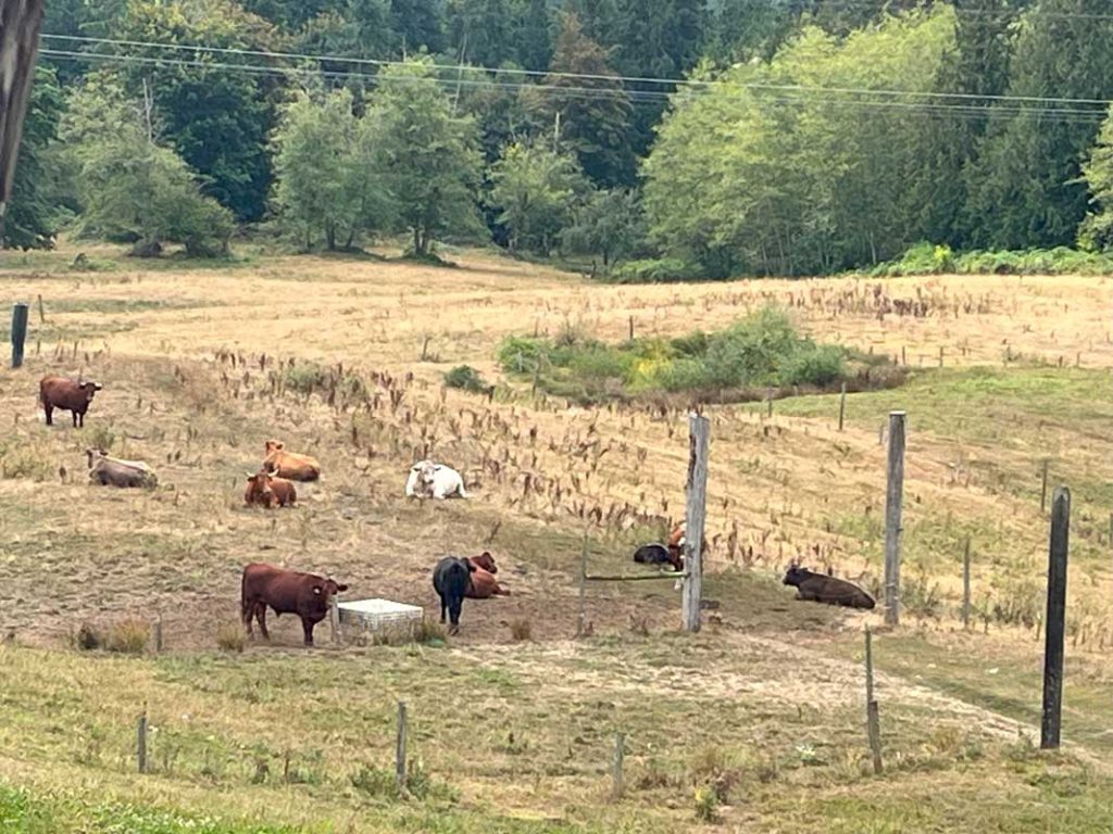 Duffner Family Farm