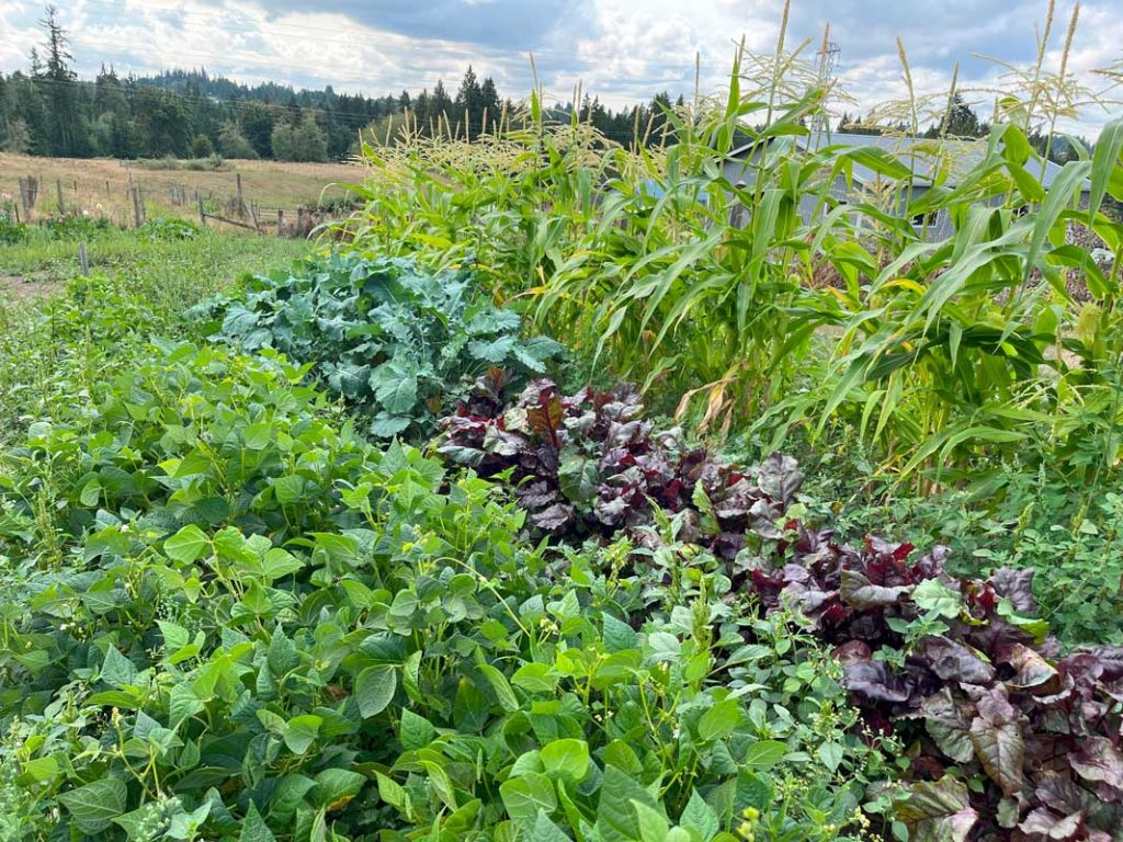 Duffner Family Farm