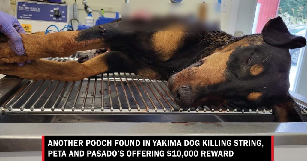 Yakima dog killings