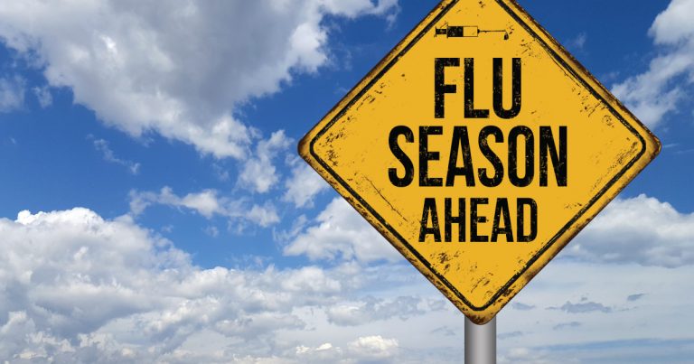 Snohomish County flu