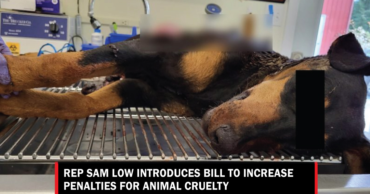 Low introduces bill to increase penalties for animal cruelty Lynnwood