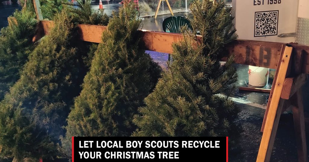 Boy Scouts christmas tree