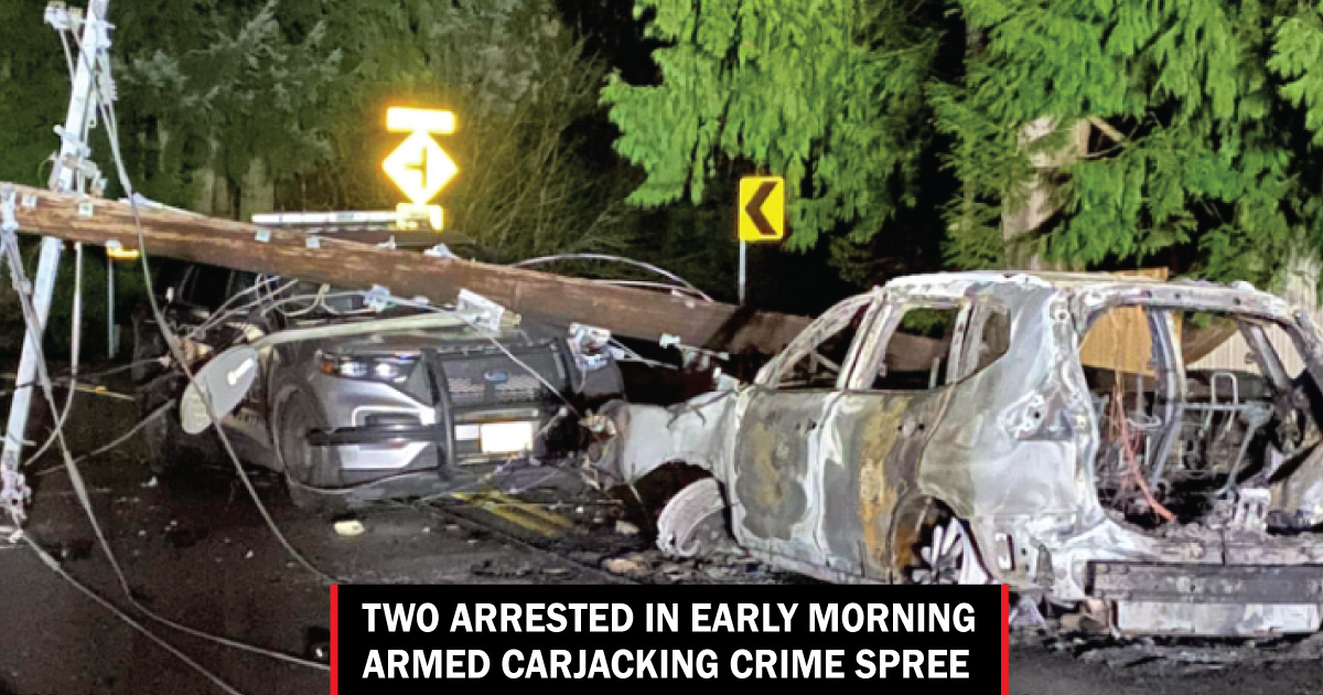 Two arrested in early morning armed carjacking South County crime spree ...