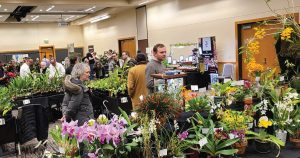 Northwest Orchid Society