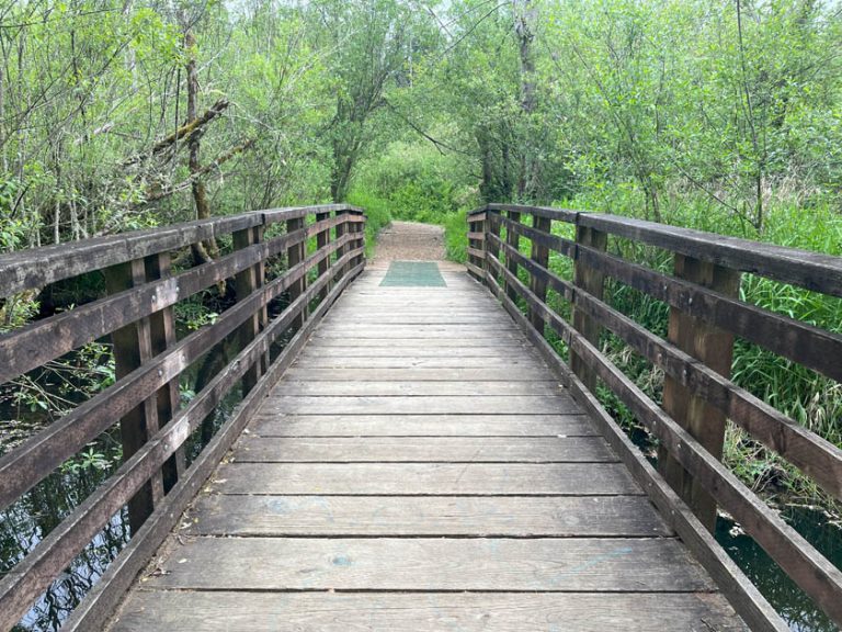 Construction Of New Scriber Lake Park Boardwalk Trail Underway ...