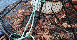 crab pots