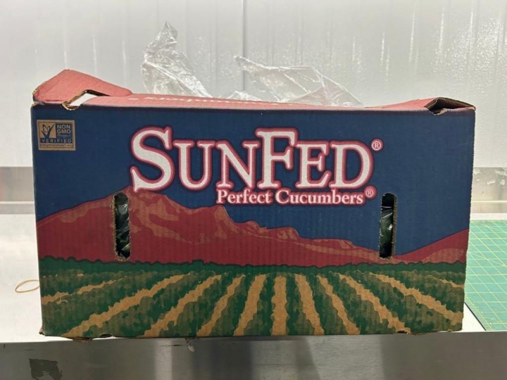 SunFed