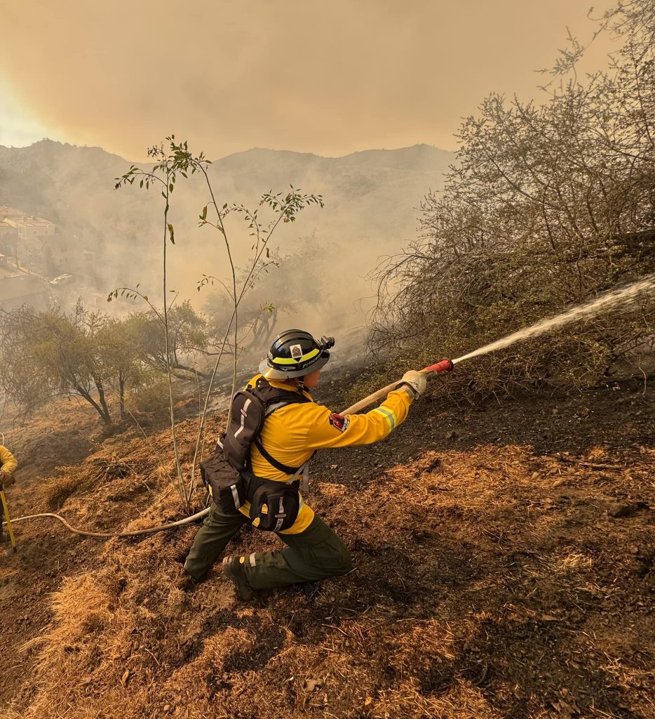 Los Angeles wildfires