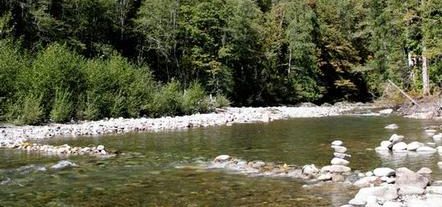 SAR recovers body of missing camper near Beckler River - Lynnwood Times