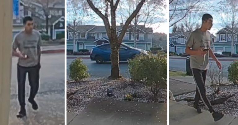 bothell assault