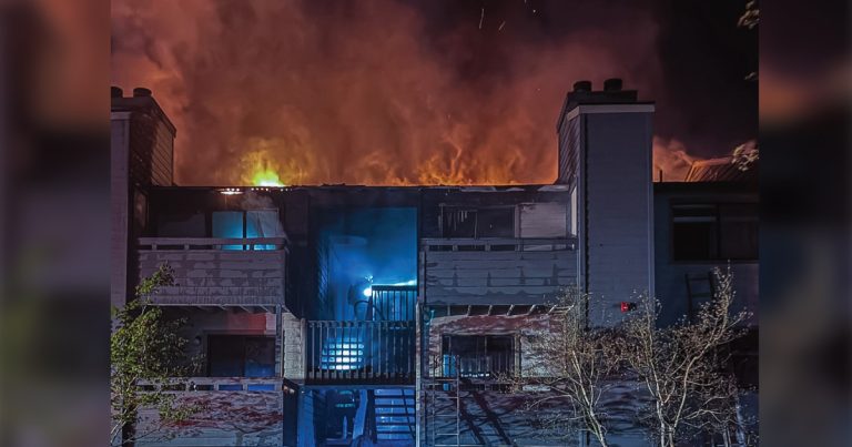 mountlake fire