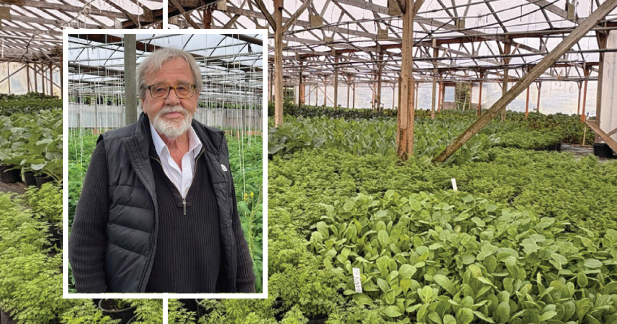 EXCLUSIVE INTERVIEW: Postema defends Flower World agricultural status as a fight for all farmers