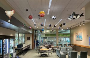 soccer balls