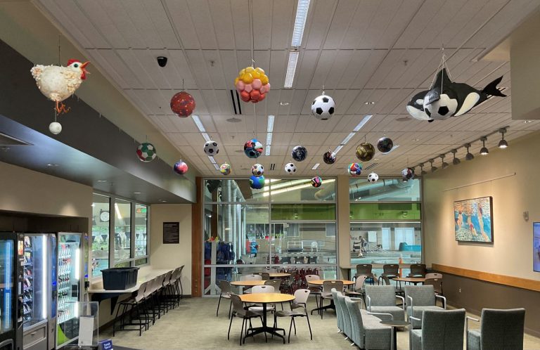 soccer balls