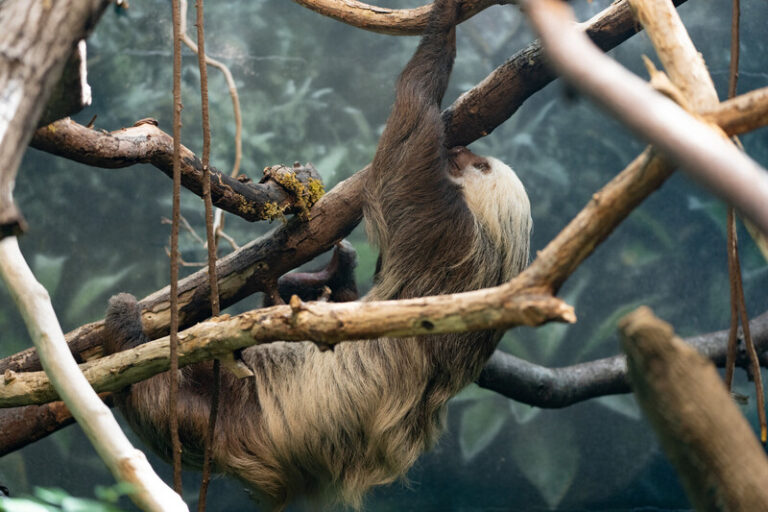 Woodland Park Zoo