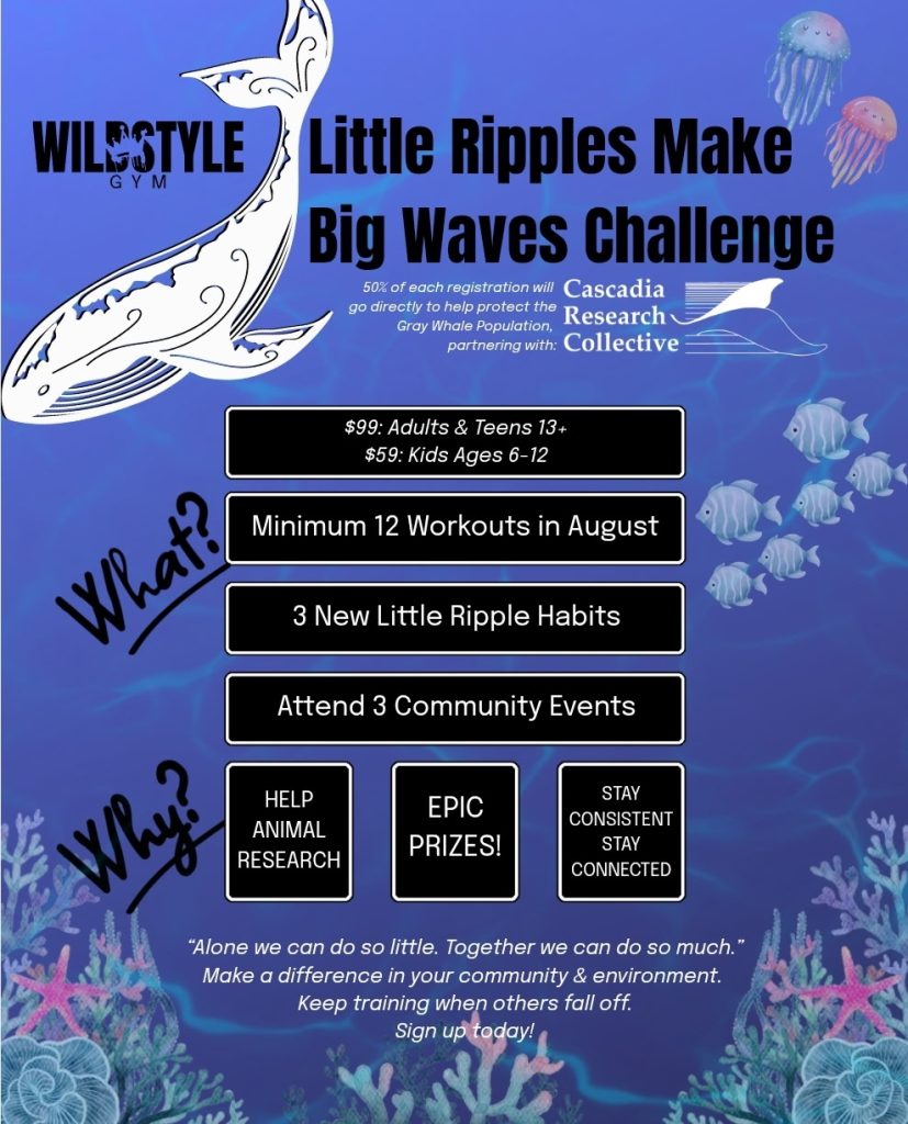 WildStyle Gym