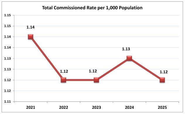 2025 crime data