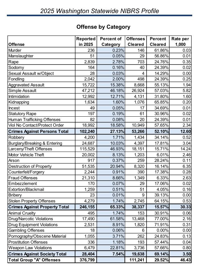 2025 crime data