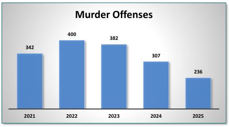 2025 crime data