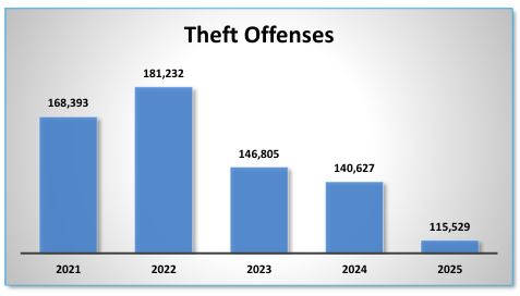 2025 crime data