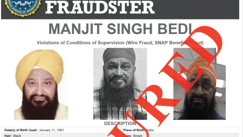 snap fraud